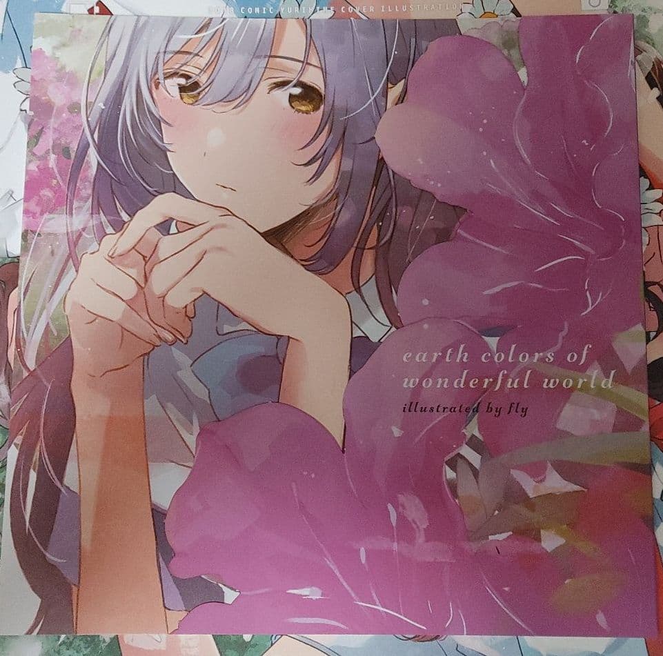 フライ　イラスト集セット