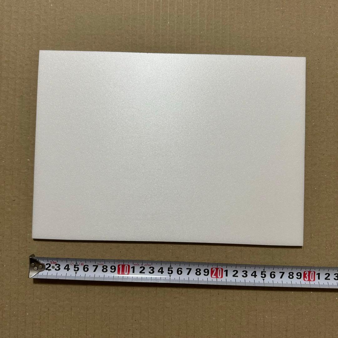 RAMPAGE 龍 タワレコ 当選パネル 直筆サイン入りフライヤー RYU