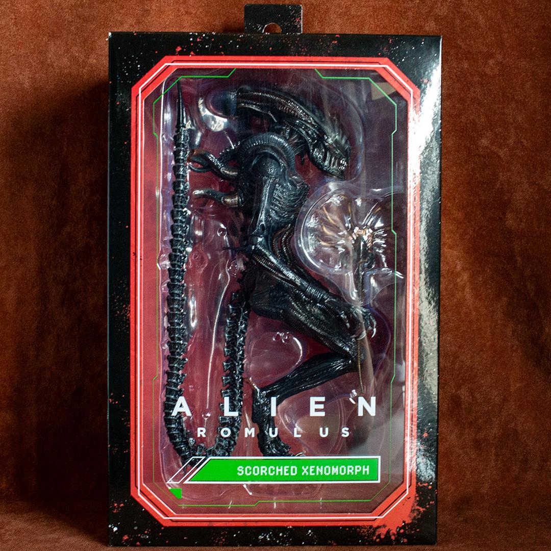 NECA　スコーチド ゼノモーフ　エイリアン ロムルス
