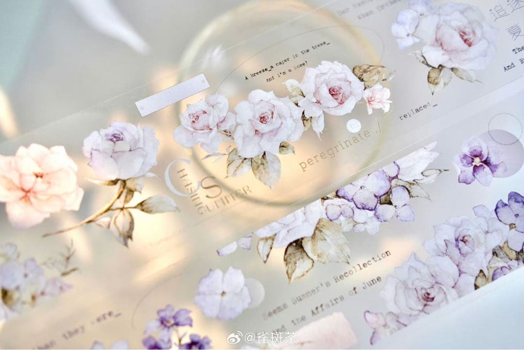 海外　マスキングテープ　雀斑茶 新作4点+おまけ4点⚠️亮面pet（48.210）