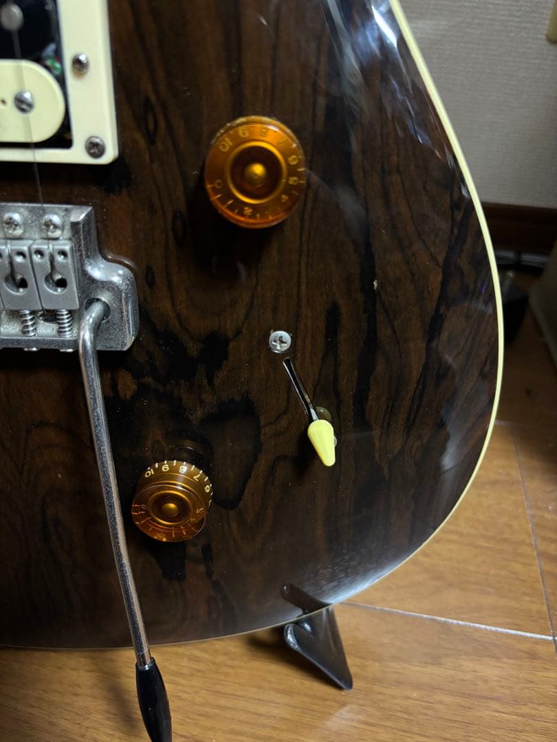 PRS SE Custom24 Ziricote Top 限定モデル