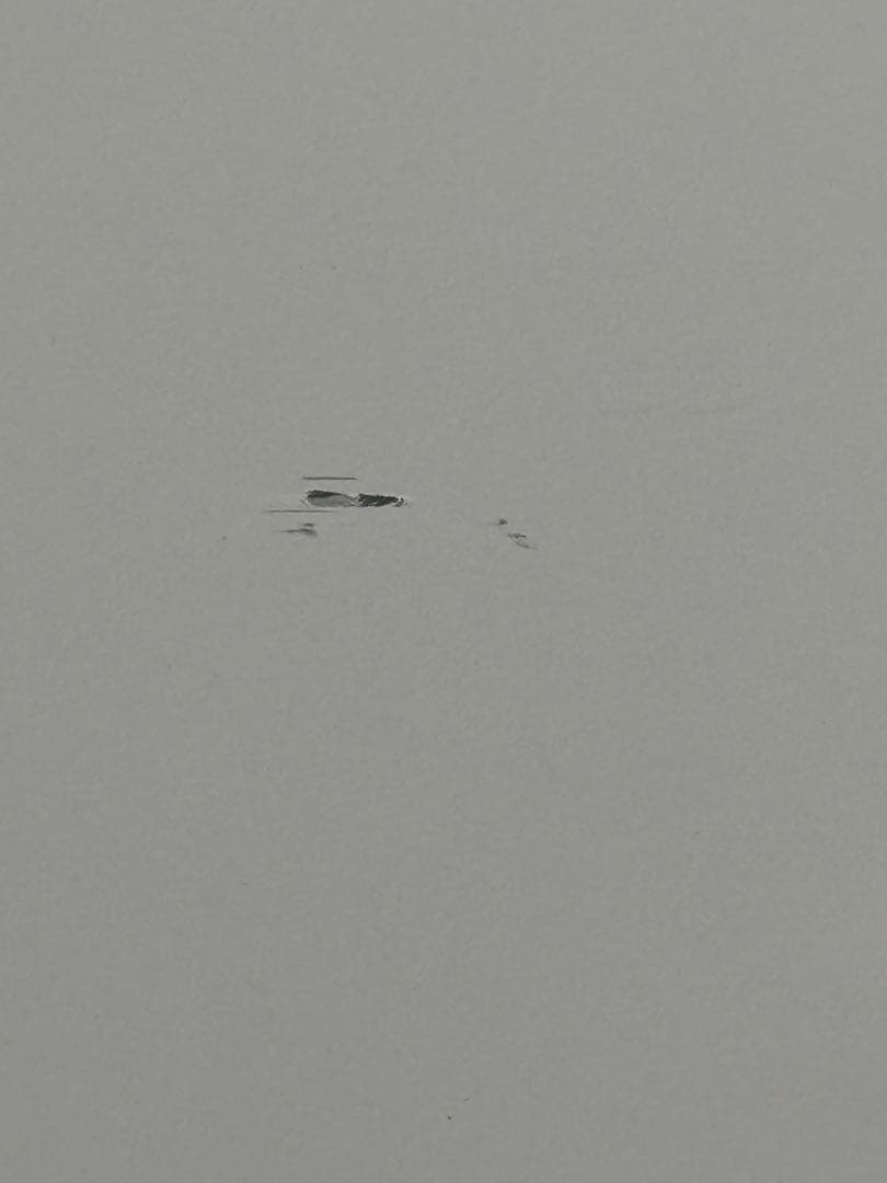 ノンフロン冷蔵庫 エスケイジャパンSR-A45N 22年製