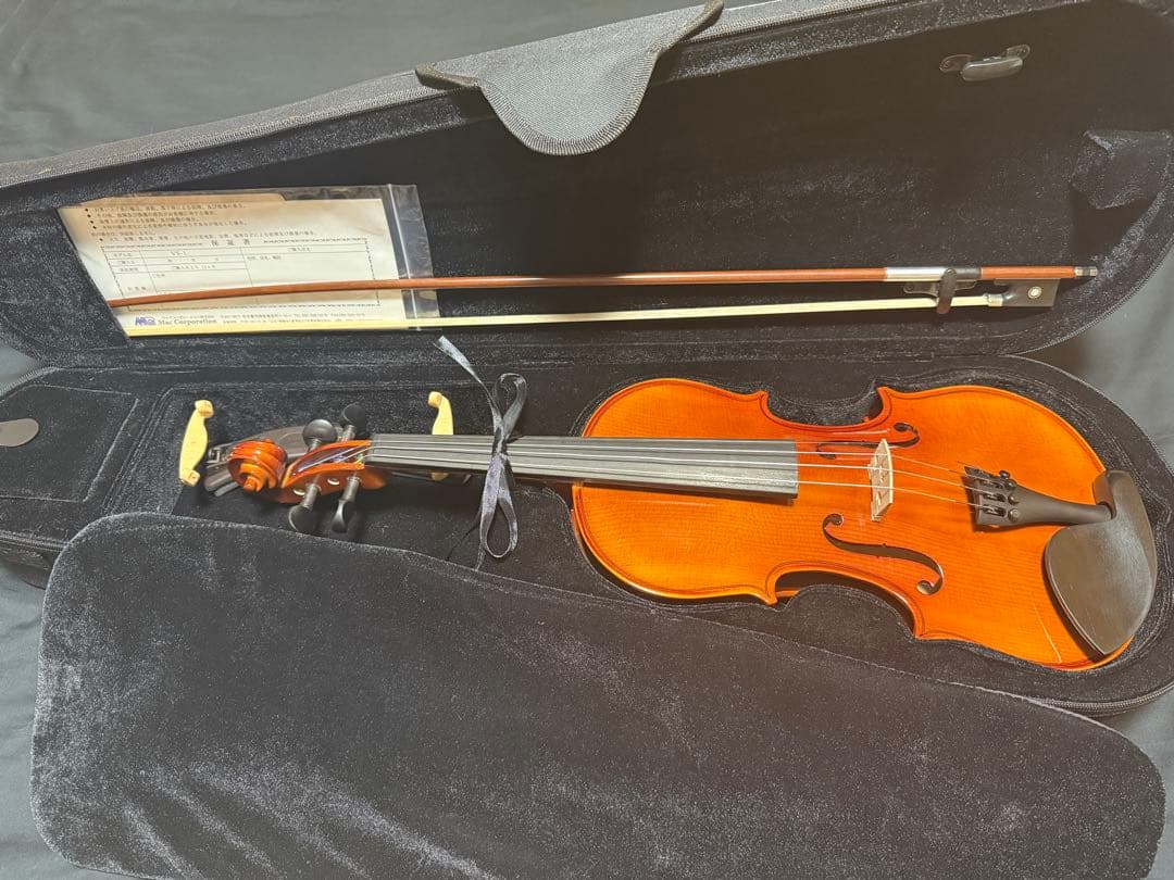 【極美品】バイオリン カルロ・ジョルダーノ VS-1 4/4