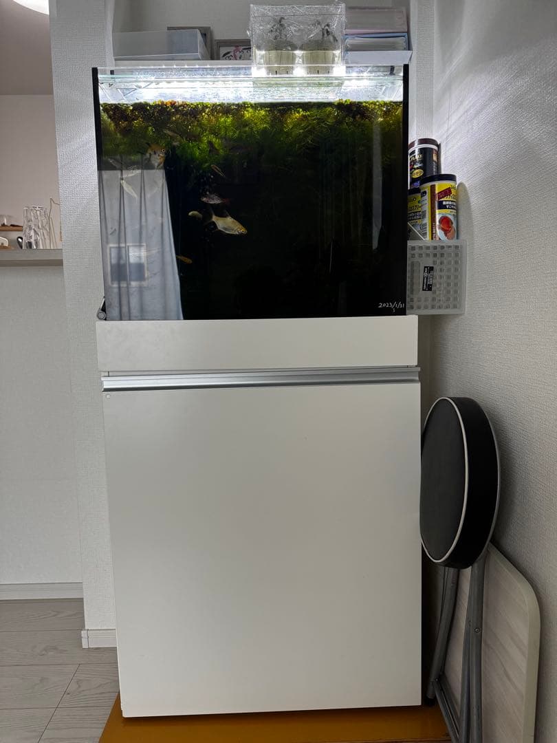 淡水使用。オルカT60OF水槽セットW60.D40.H50【引き取り限定】