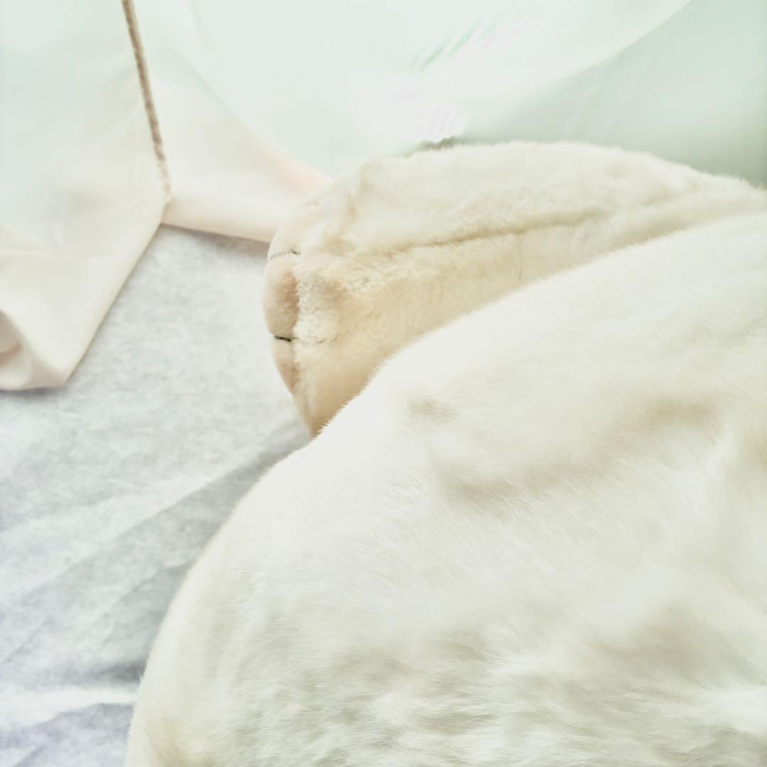 ♦️期間限定出品　ラスト値下げ　オリエンタルトーイ　うめ吉　特大