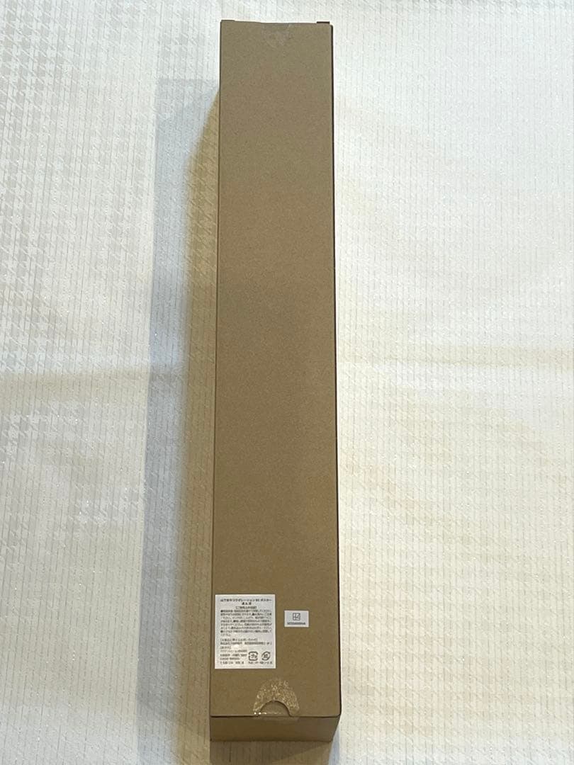 【未開封品】山下良平コラボレーションポスター 糸師 凛 冴