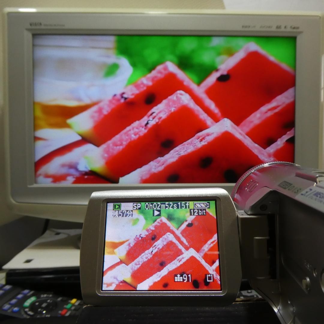 動作良好 パナソニック NV-GS250 MiniDVビデオDVDダビングに最適