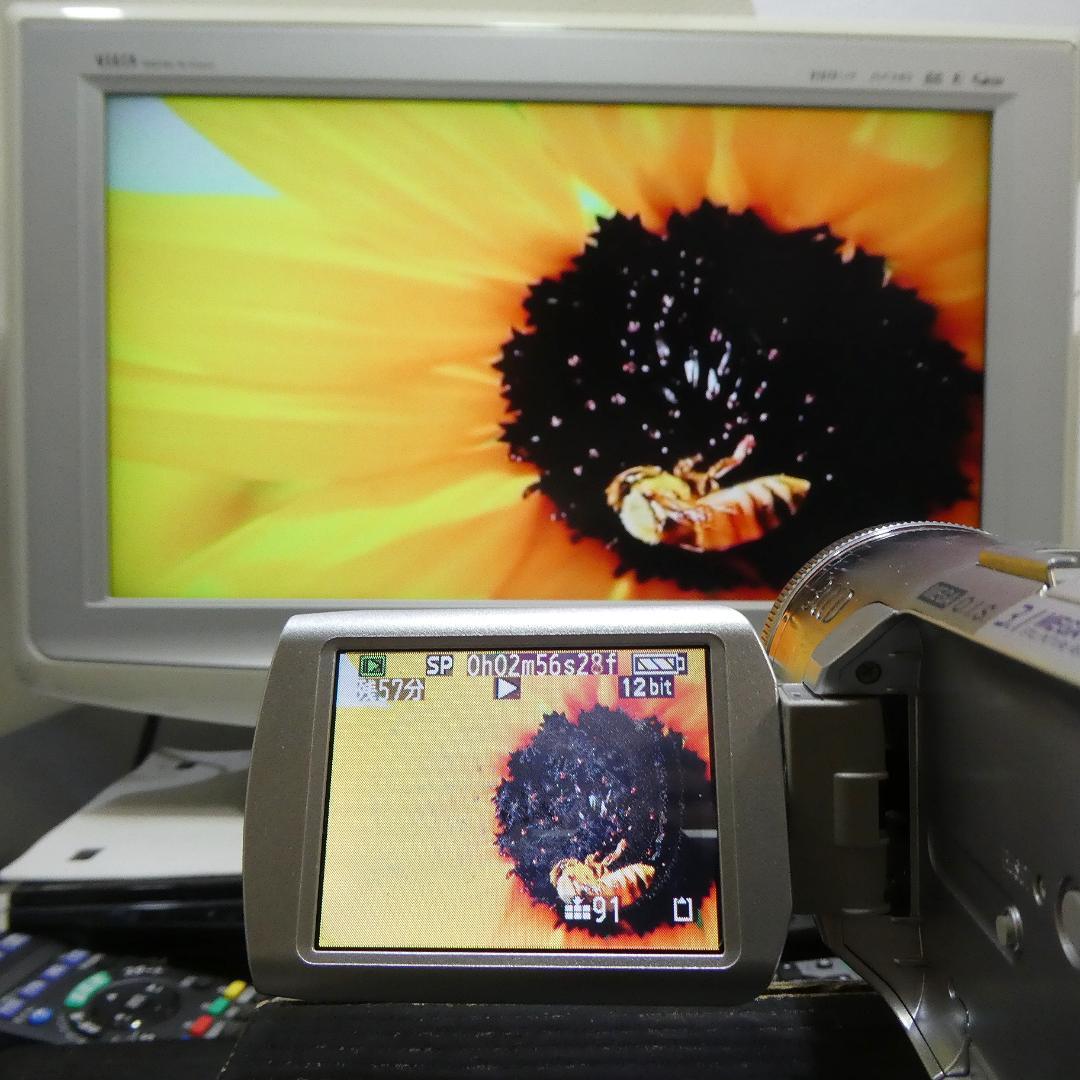 動作良好 パナソニック NV-GS250 MiniDVビデオDVDダビングに最適
