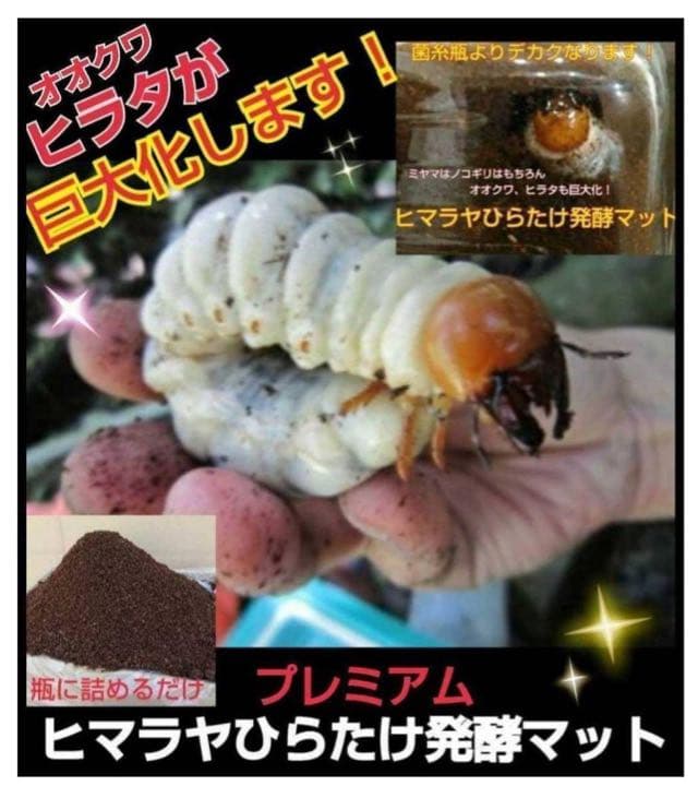 ミヤマクワガタ、ノコギリ幼虫に抜群！800mlボトル入プレミアム発酵マット15本