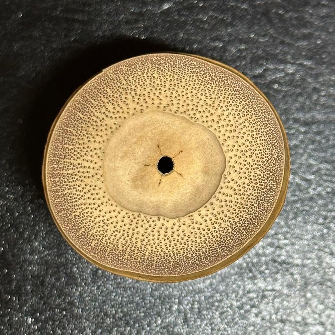 ★竹蓋置 一双！大徳寺『紫野 長谷川 寛州』書付！『淡完』作！共箱/共布/紙箱★