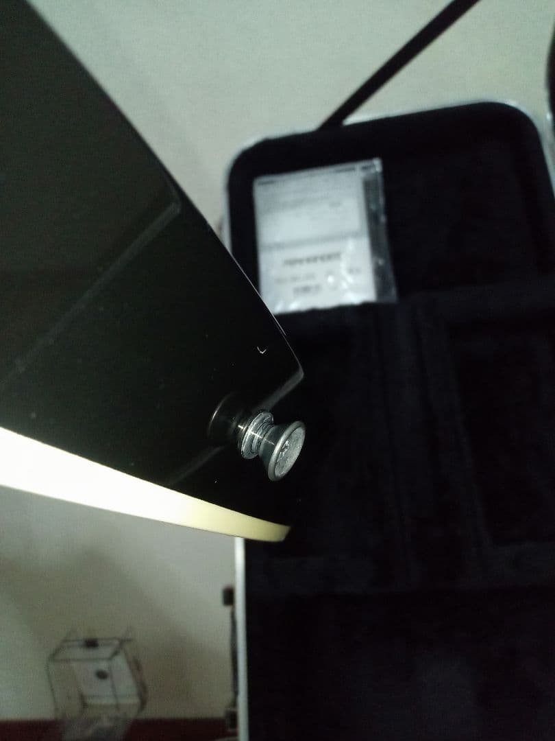 FERNANDES TEJ DELUXE 2S　純正ハードケース付き