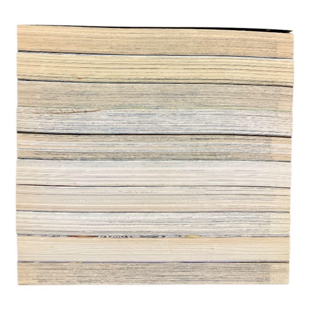 【希少】　ジョジョの奇妙な冒険　スターダストクルセイダーズ　3部　英語版