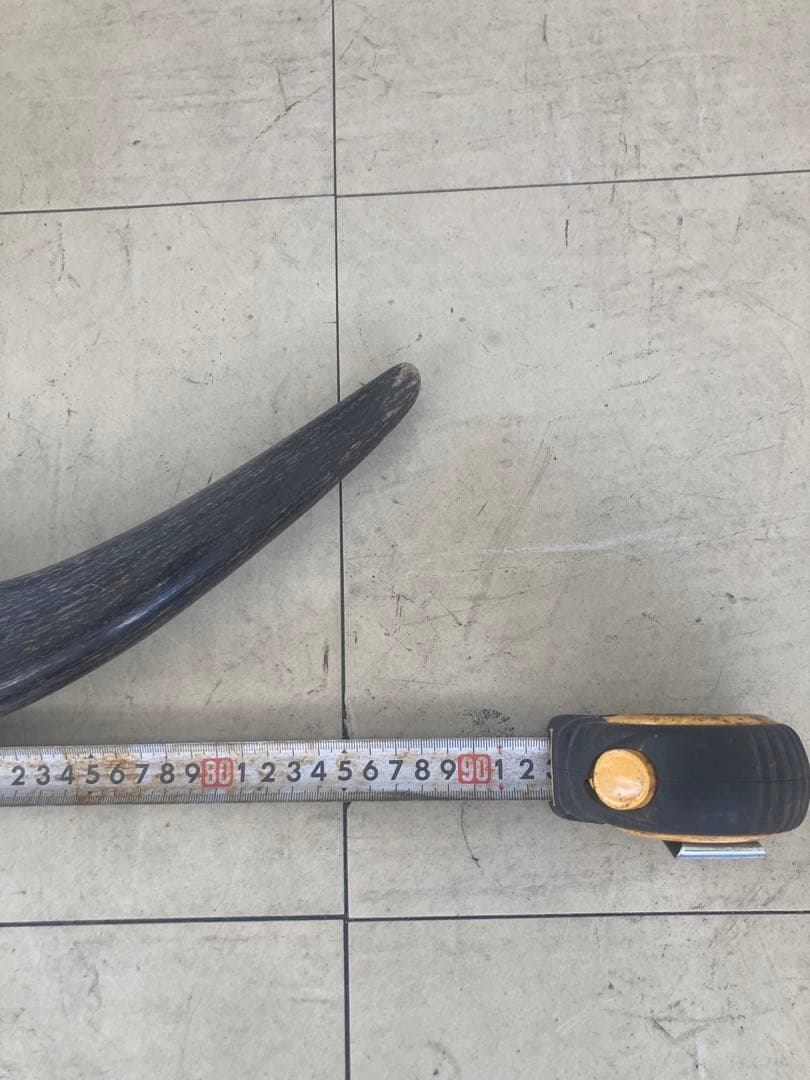 バッファロースカル　特大　壁飾り　オブジェ　アンティーク