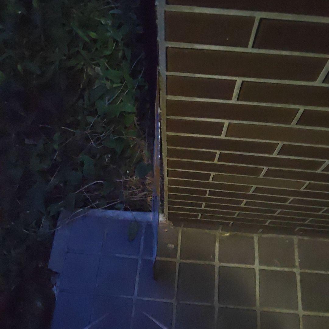 【鉄道サボ】（表）上野（急行ゆけむり）水上（裏）上野⇔新前橋