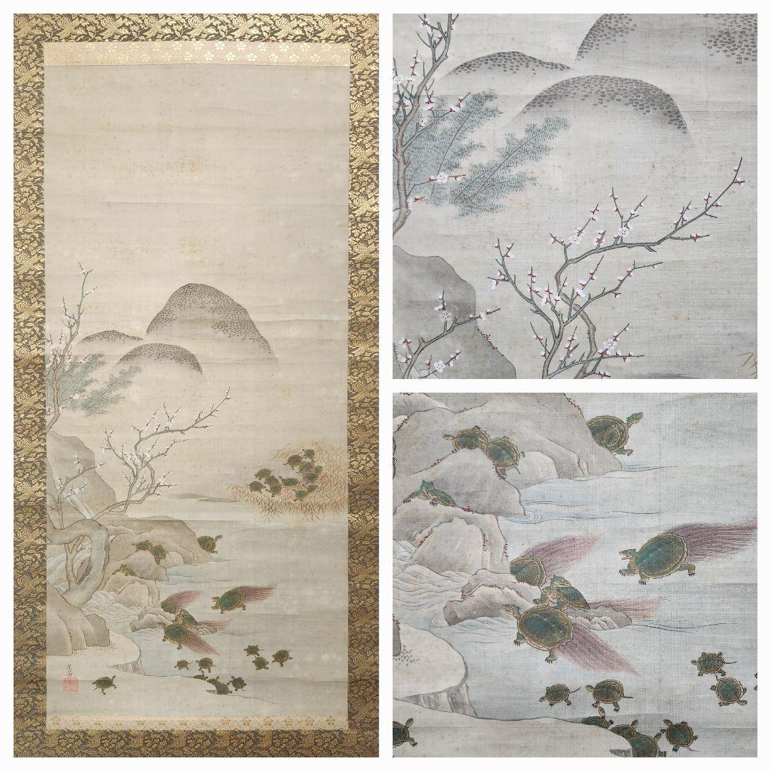 【長寿郡亀図】土佐光芳 2605　掛け軸　百亀　肉筆