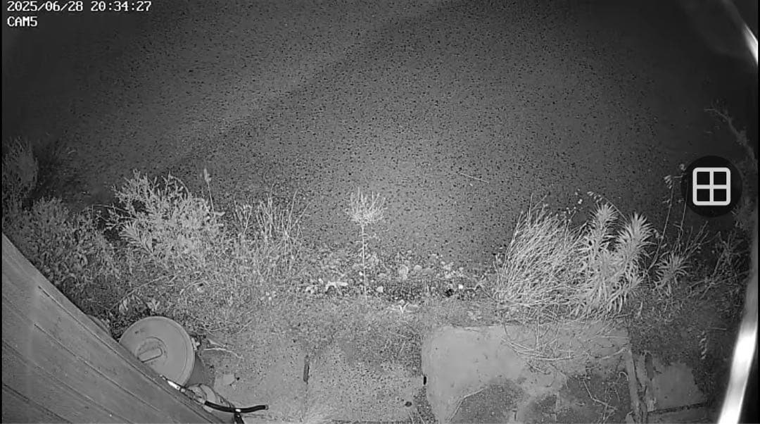 塚本無線 防犯カメラセット／5台＋録画機能付モニター/2TB/wtw eagle