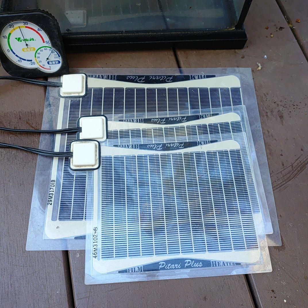 中型ガラス飼育ケージ + 加熱パネル