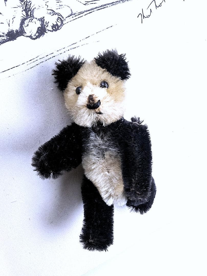 きっとあの子のお友達　ドイツのこぐま　シュコー　パンダ　 アンティーク　９ｃｍ