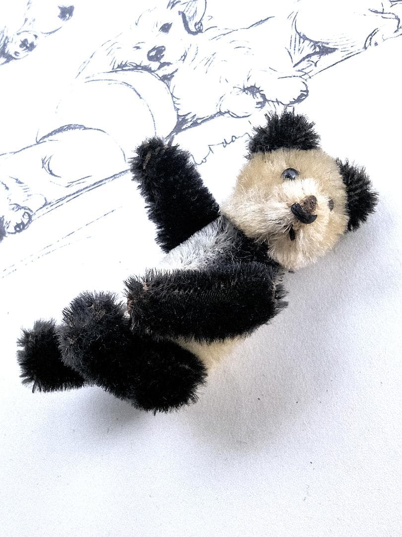 きっとあの子のお友達　ドイツのこぐま　シュコー　パンダ　 アンティーク　９ｃｍ