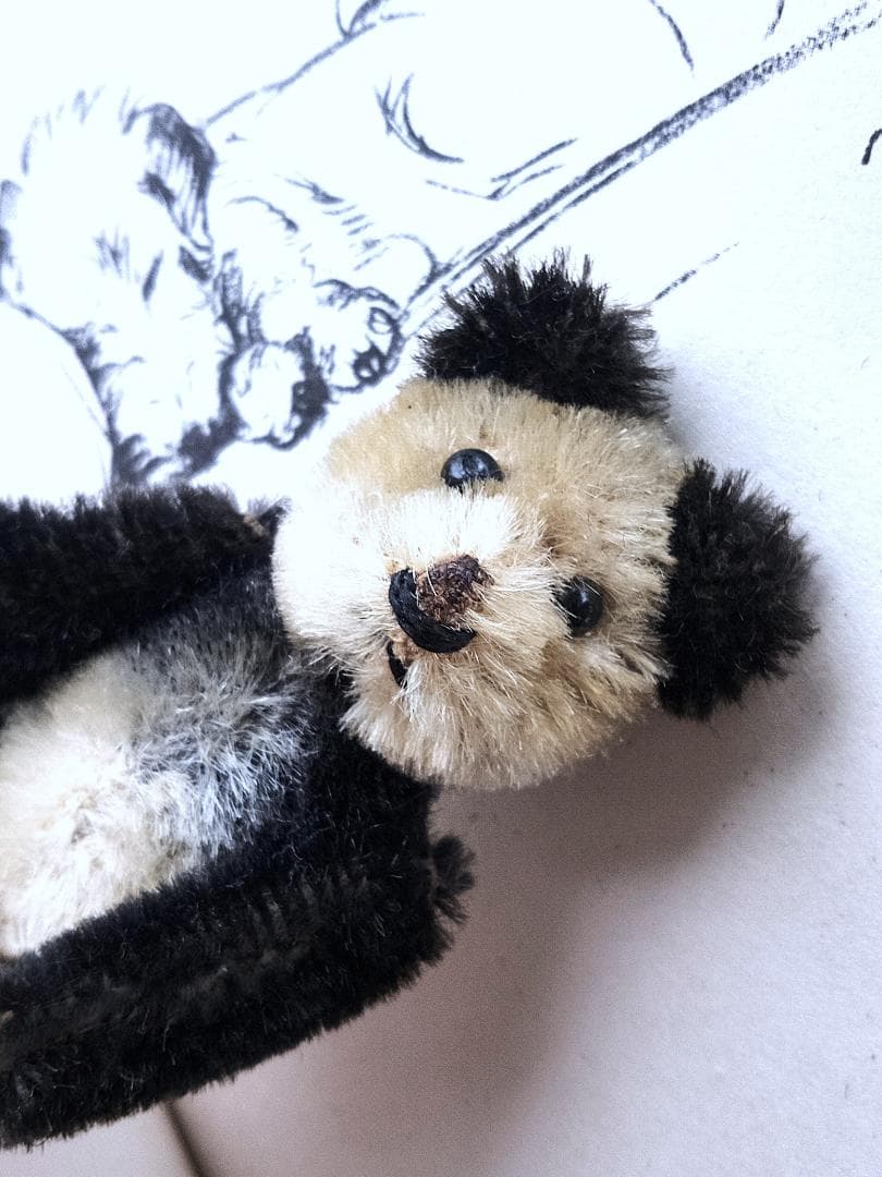 きっとあの子のお友達　ドイツのこぐま　シュコー　パンダ　 アンティーク　９ｃｍ