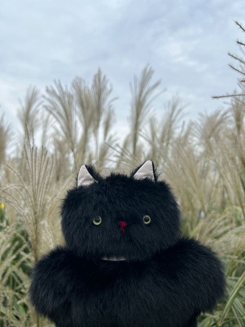 さて ハンドメイド ぬいぐるみ 黒猫