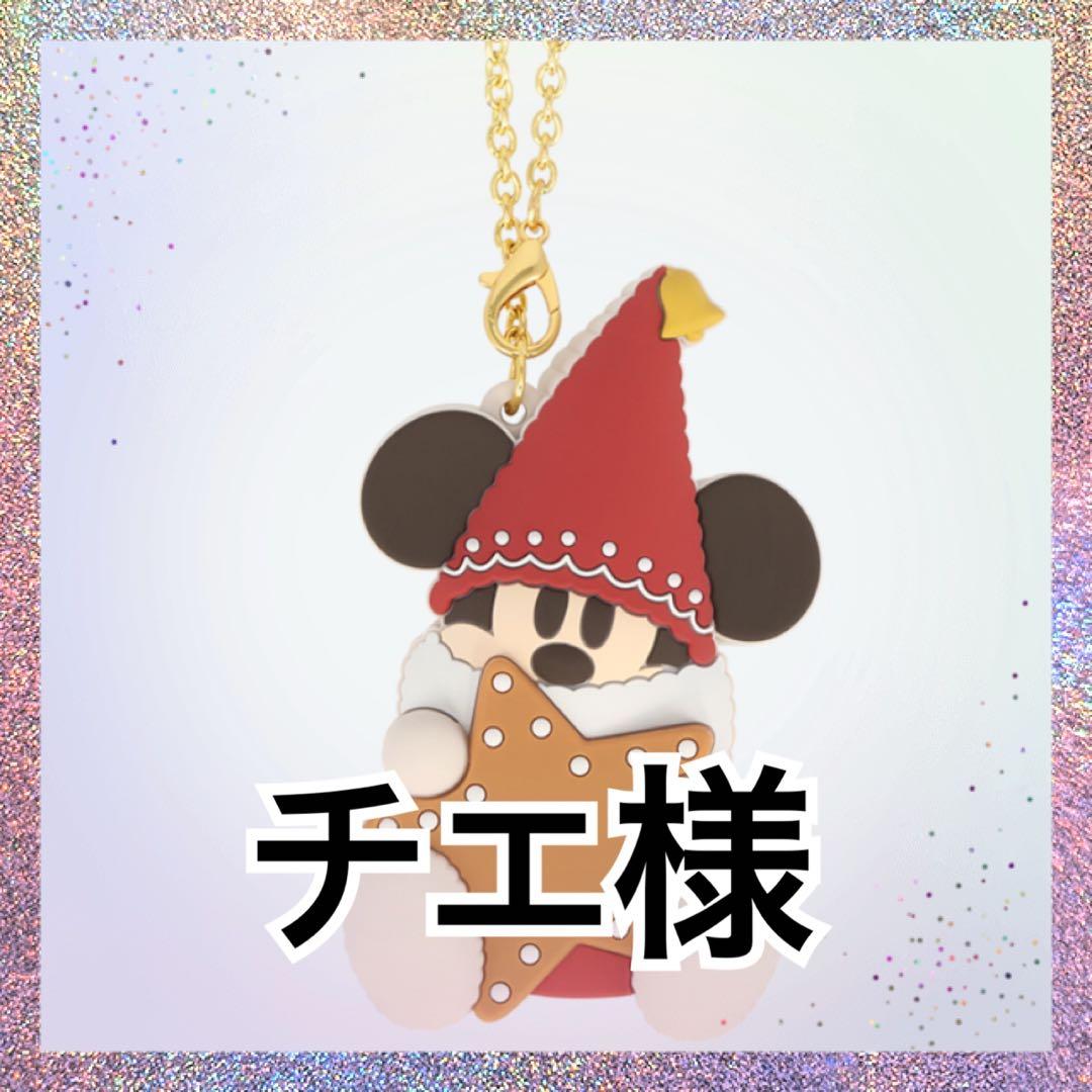 チエ様 13点セット