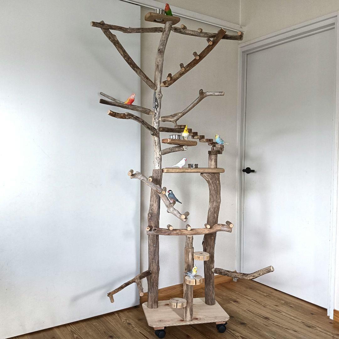 びぐ バードアスレチックジム大型 天然木 自然木 流木 インコ おもちゃ