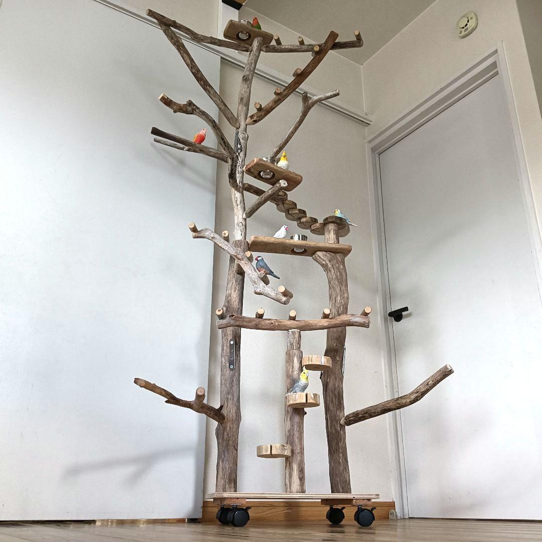 びぐ バードアスレチックジム大型 天然木 自然木 流木 インコ おもちゃ
