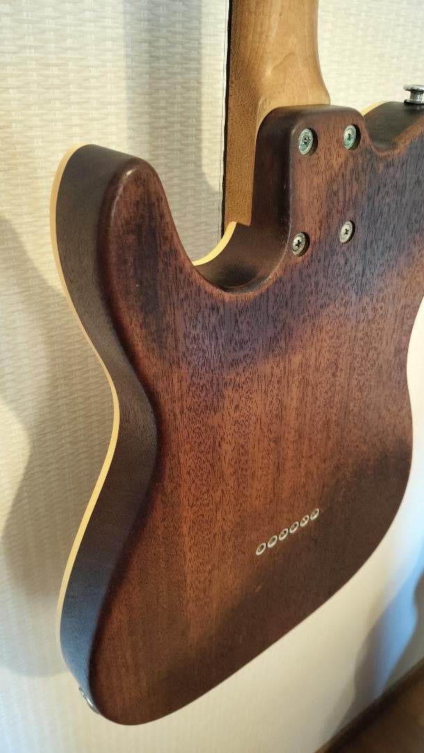 【Bacchus】T-HOLLOW テレキャスター HandmadeSeries