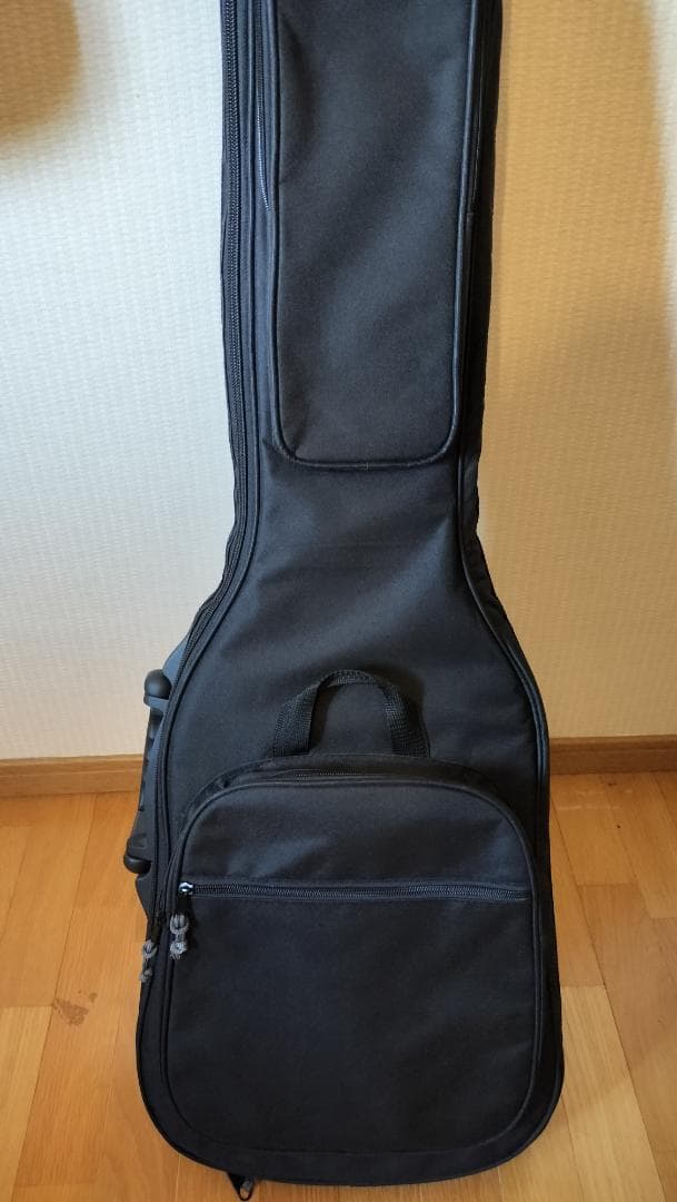 【Bacchus】T-HOLLOW テレキャスター HandmadeSeries