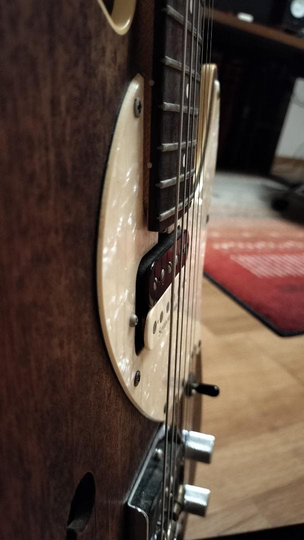 【Bacchus】T-HOLLOW テレキャスター HandmadeSeries