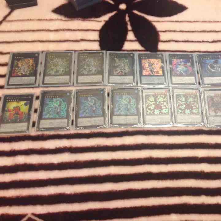 エクストラ 確認用