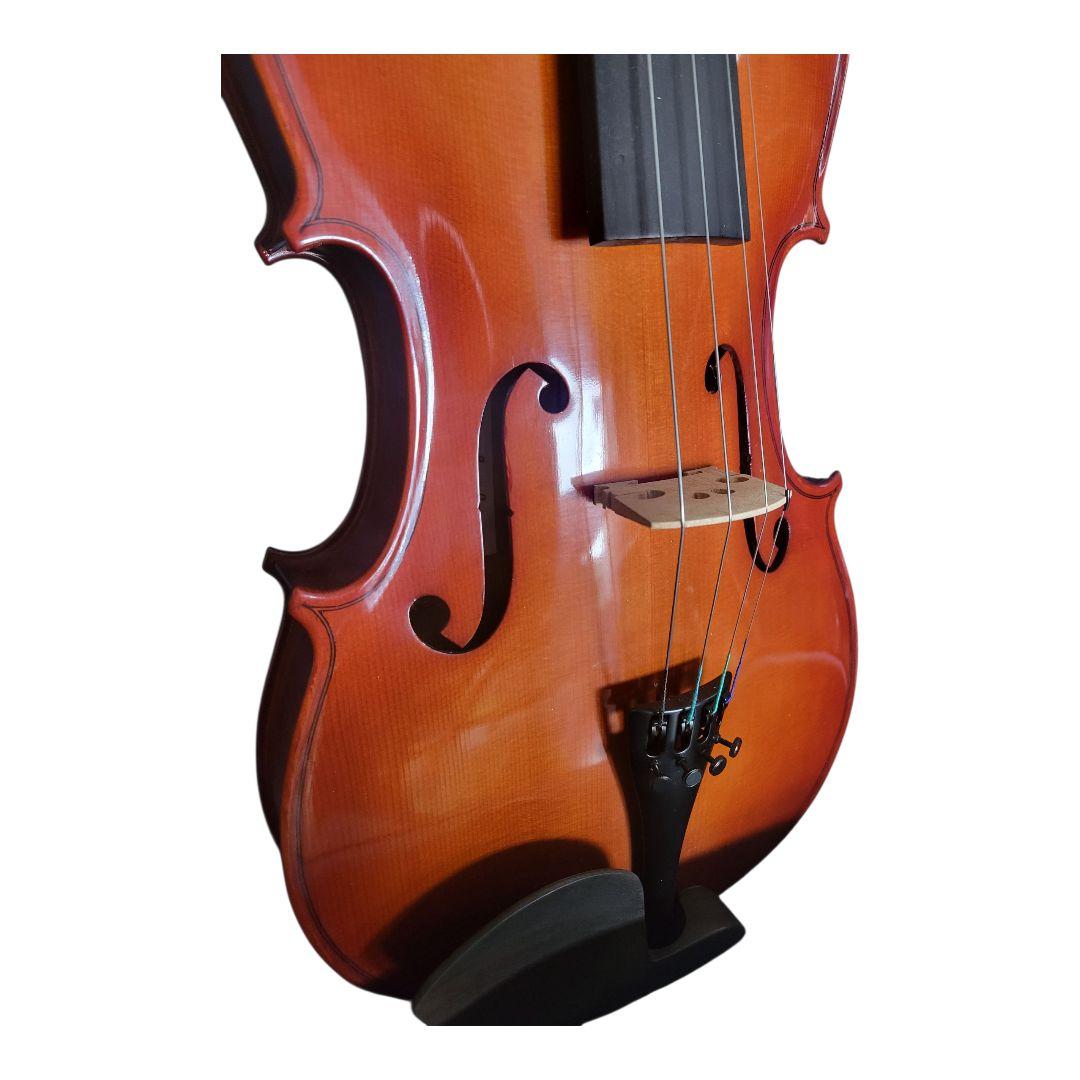 カルロジョルダーノ　ビオラ　ケース付き