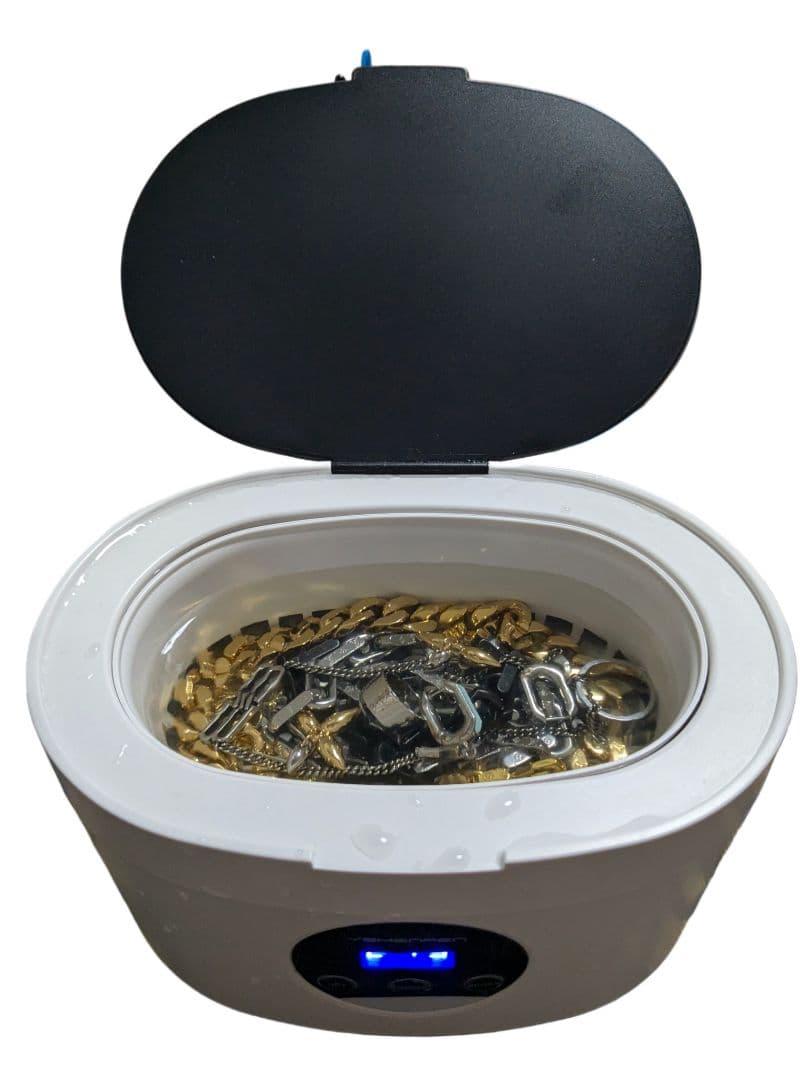 ✨極美品✨ヴィトン ブックル ドレイユ ルイゼット パンダン キャッチなし