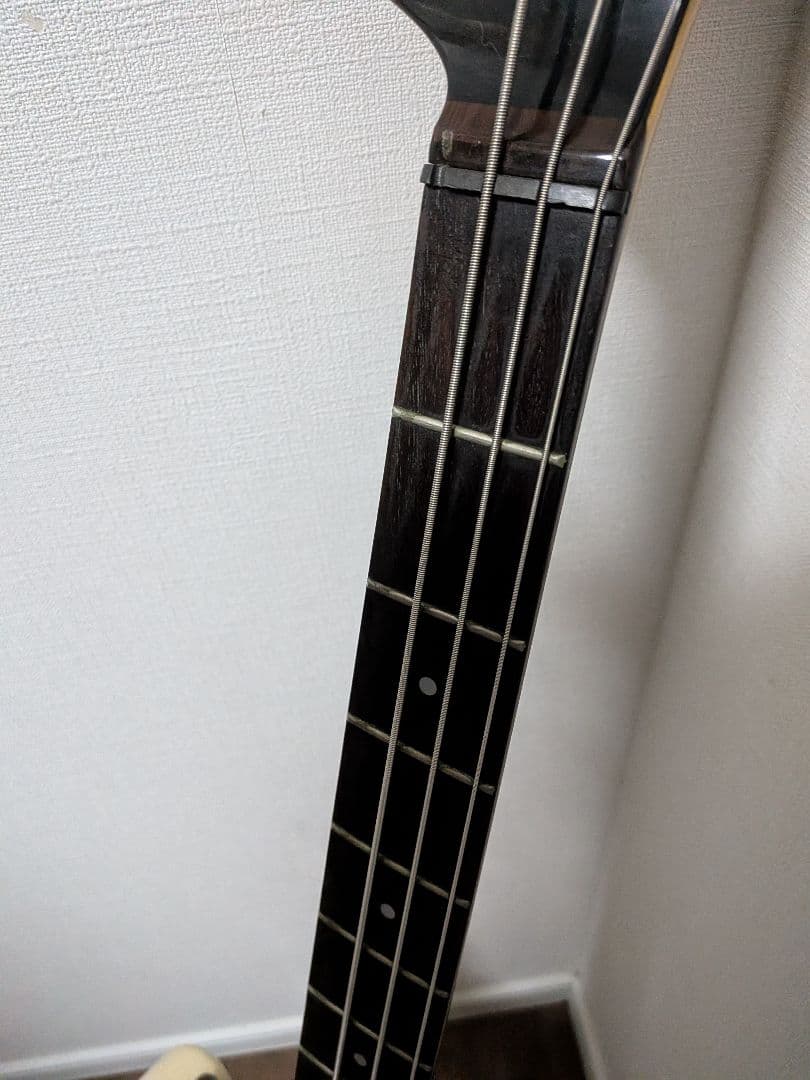 Fernandes Limited Edition　ソフトケース新品弦付きます