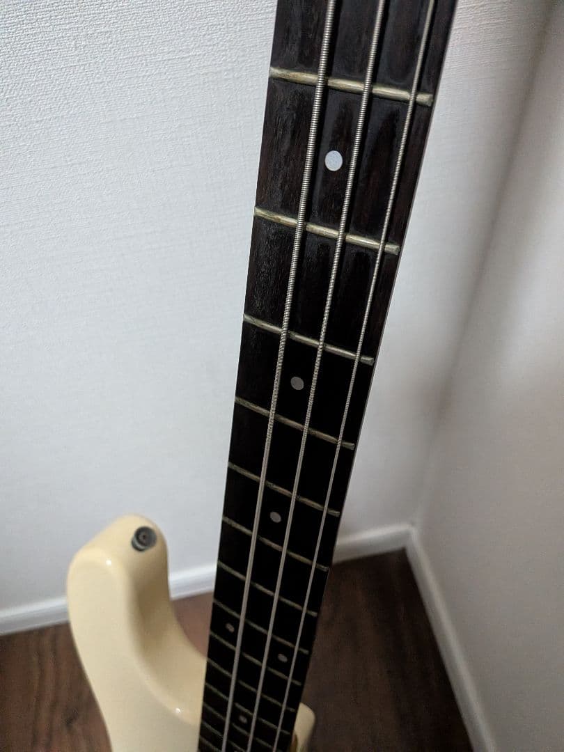Fernandes Limited Edition　ソフトケース新品弦付きます