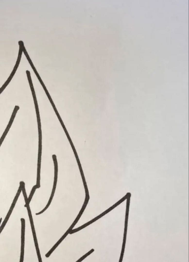 ドラゴンボール 鳥山明 複製スペシャルサイン