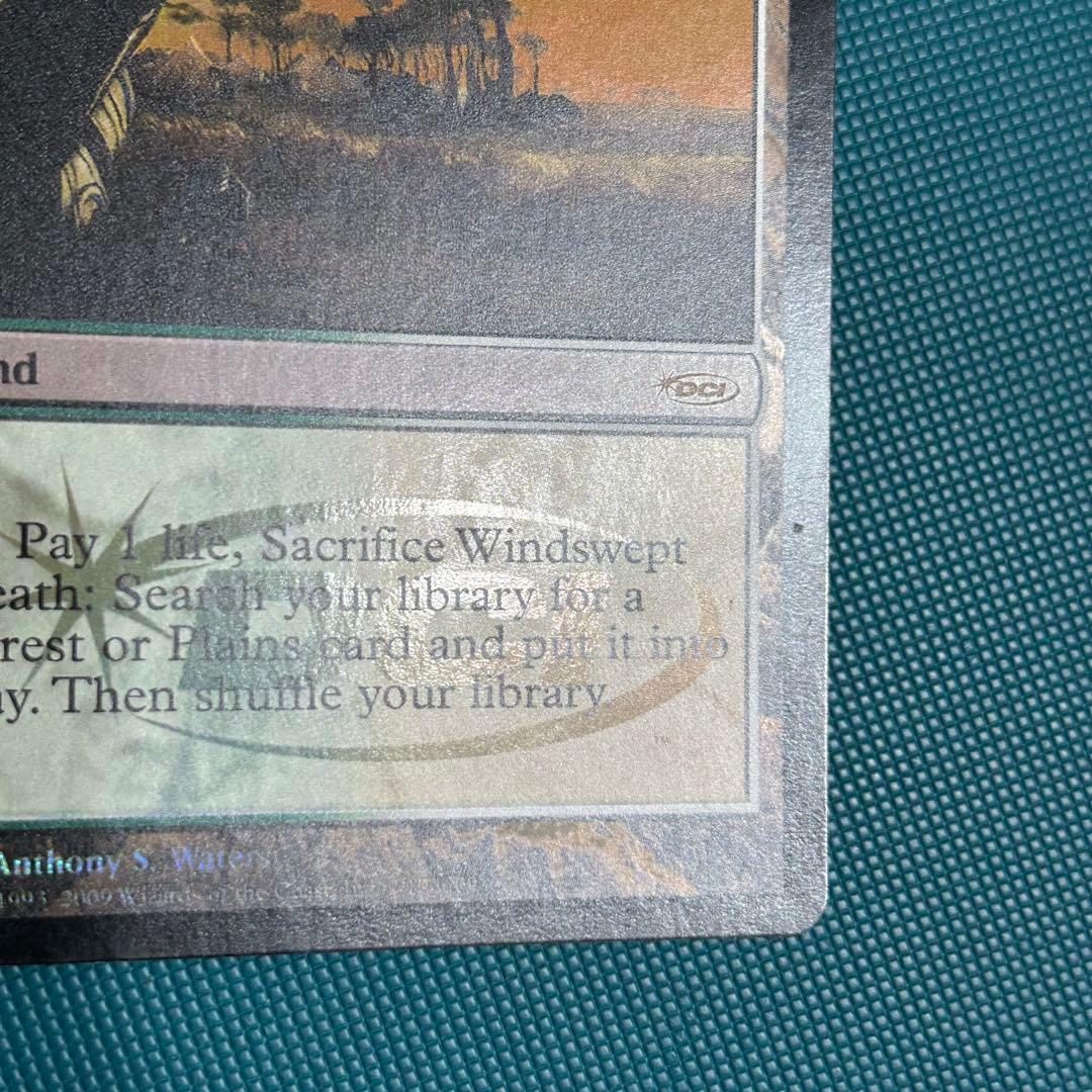 【ジャッジ褒賞Foil】《吹きさらしの荒野/Windswept Heath》英語