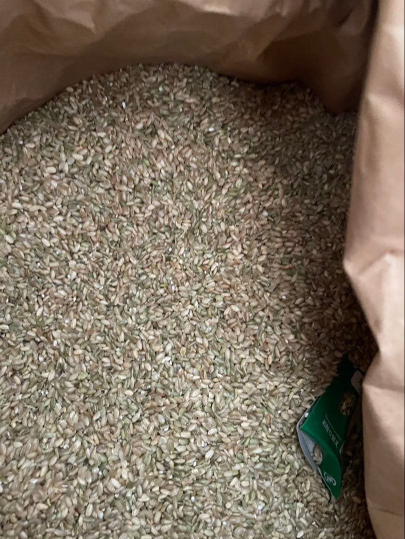 くず米 30kg (令和6年度産) 玄米　1袋