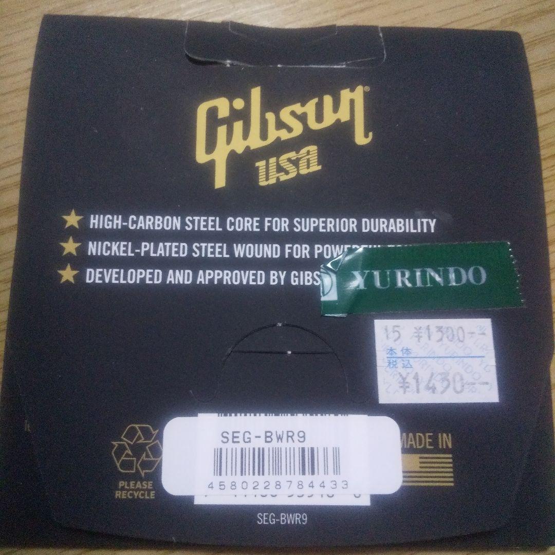 『寺田てら』コラボギター