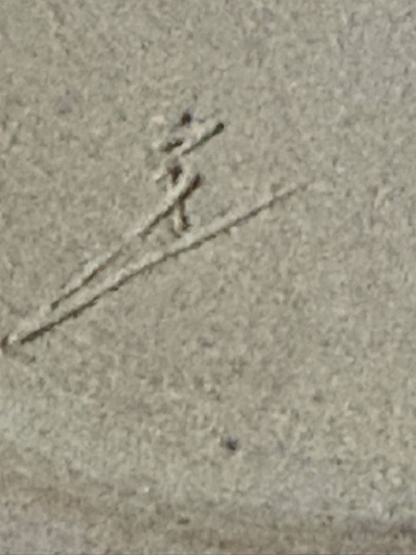 天目 茶壷 定一 【 飾り壺 飾壺 】