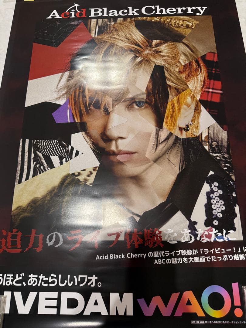 Acid Black Cherry ポスター ライビュー！