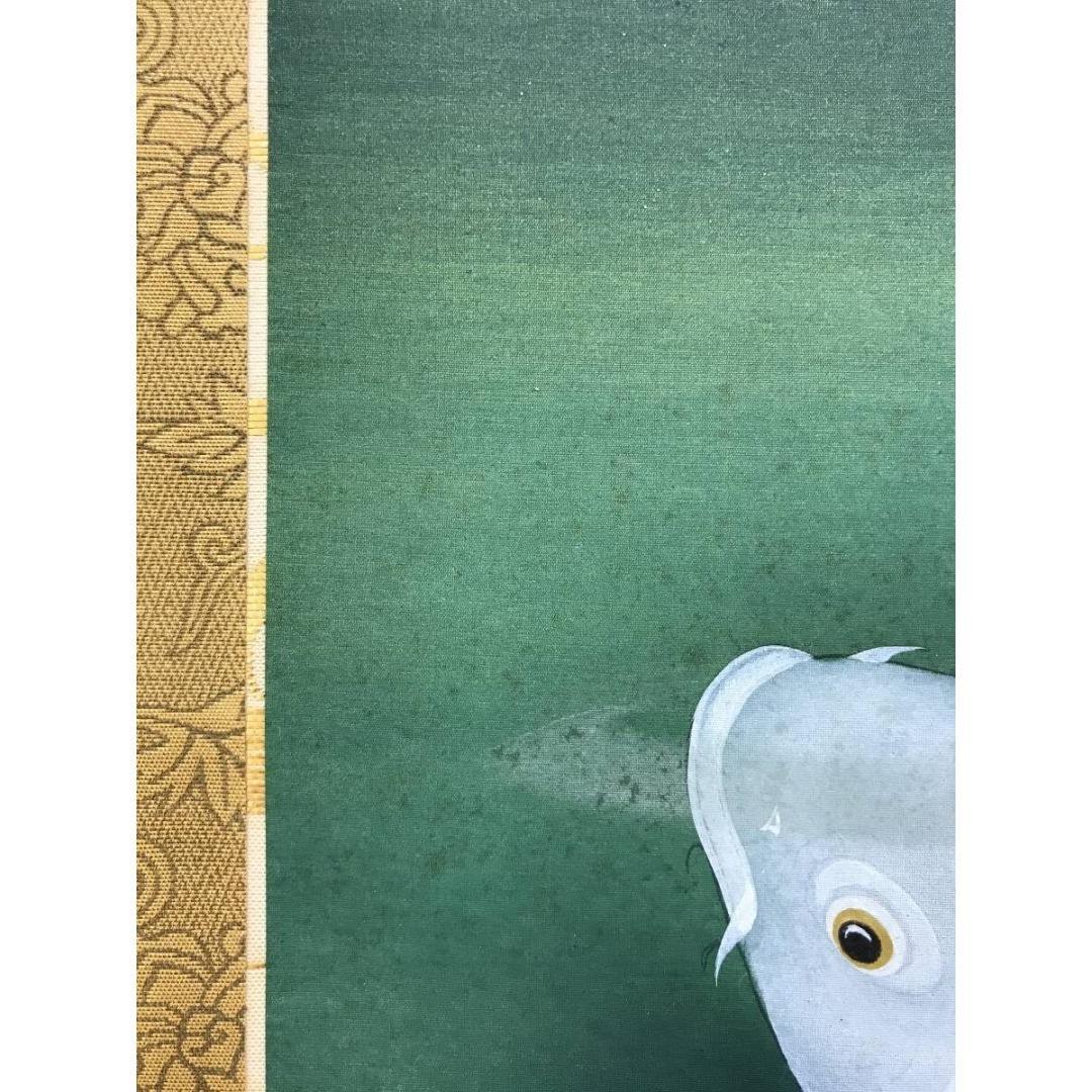 真作/國井幸雪/游鯉図/遊鯉/松鯉/花鳥図/掛軸☆宝船☆AK-630