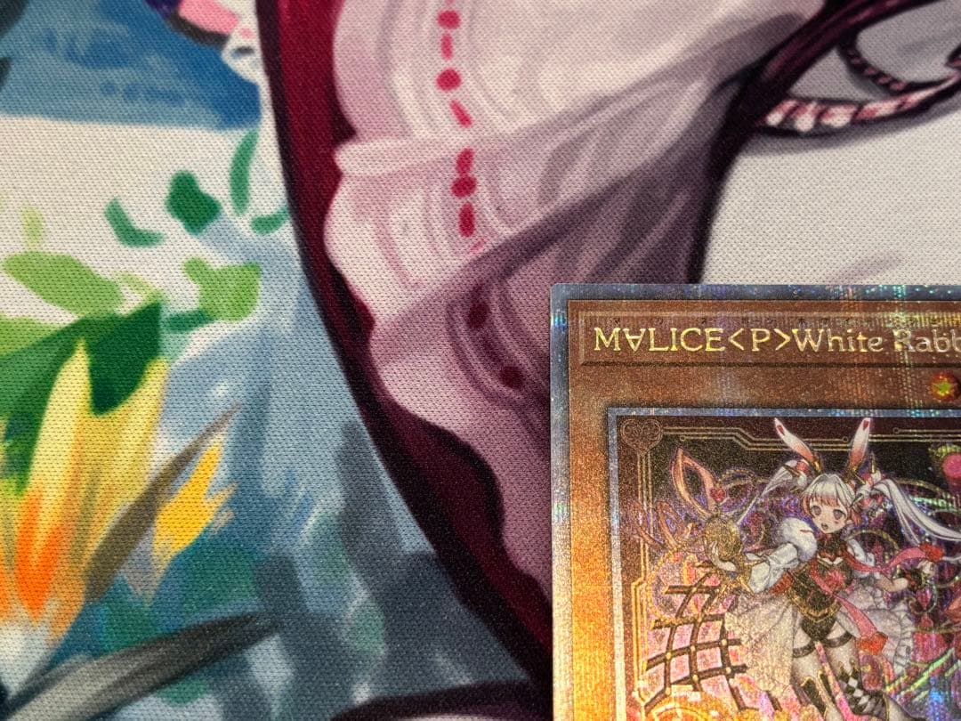 M∀LICE <P>White Rabbit 25th