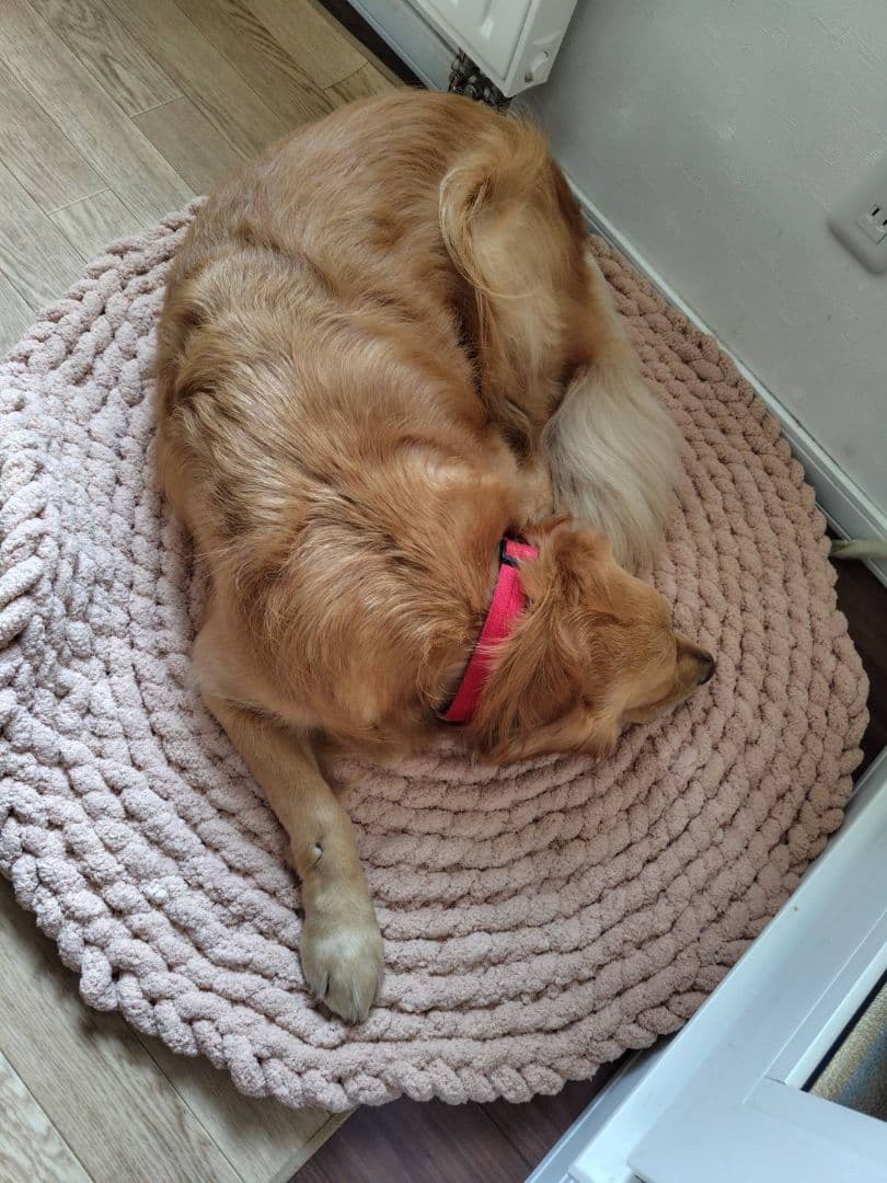 カフェマット  お昼寝マット ペットマット　オーダー承ります