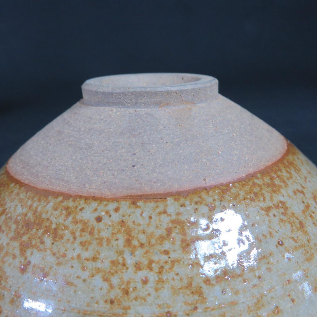 平茶碗 茶碗 伎 在銘 木箱 共箱 植物 茶道具 抹茶碗 茶器