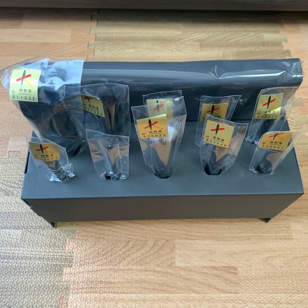 SOYO 熊野筆 メイクブラシセット 小田切ヒロ 10本+ケース付