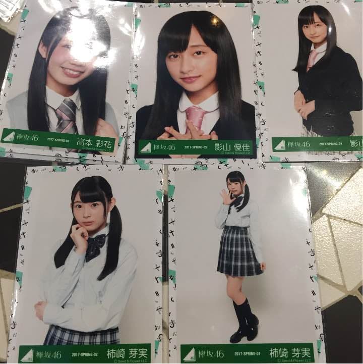 ひらがなけやき バラ売り