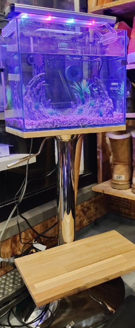 水槽セット　ネオンテトラやグッピーなど