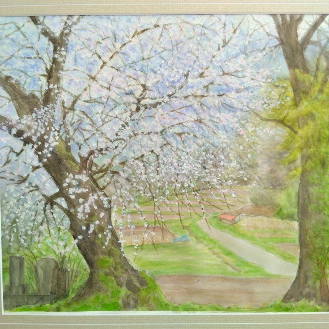 水彩画・風景画・満開の桜・自筆